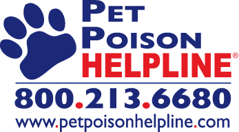 PPH-Logo-w-website-w-R-clea PPH-Logo-w-website-w-R-clea